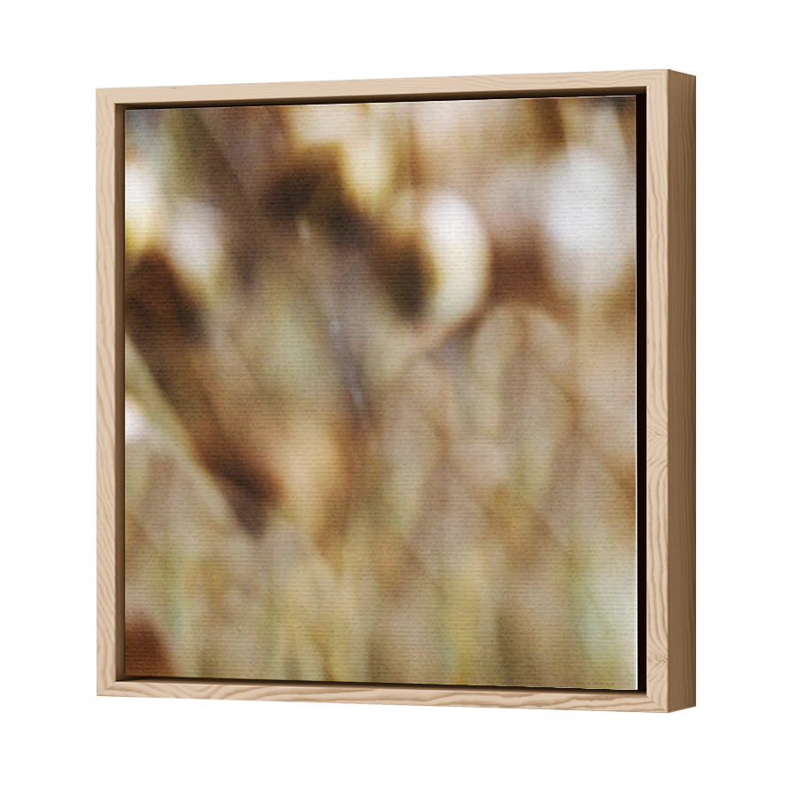 Thumbnail for Canvas - Wood Grain Floating Frame