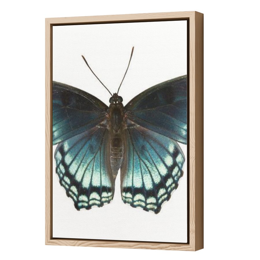 Thumbnail for Canvas - Wood Grain Floating Frame