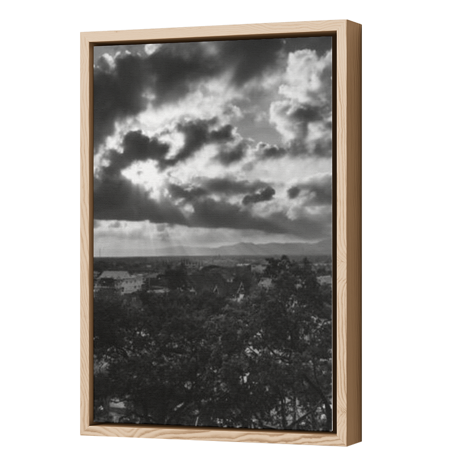 Thumbnail for Canvas - Wood Grain Floating Frame
