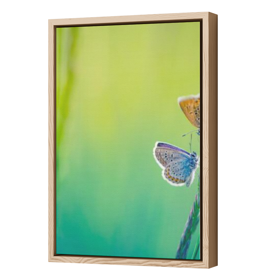Thumbnail for Canvas - Wood Grain Floating Frame