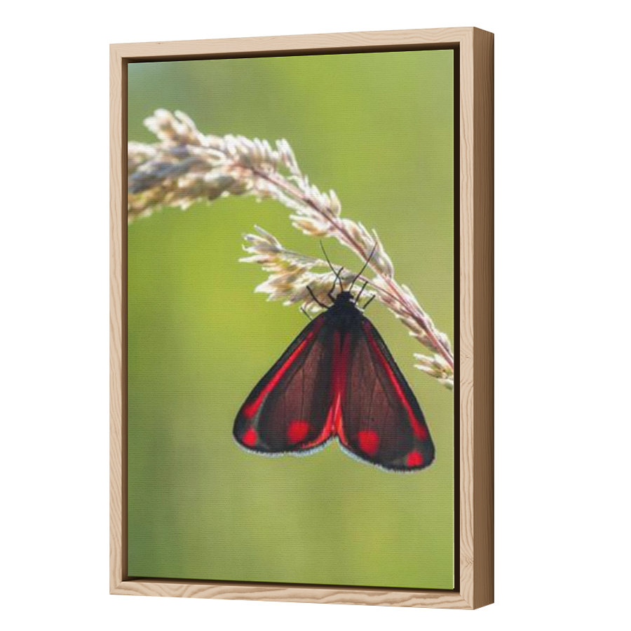 Thumbnail for Canvas - Wood Grain Floating Frame