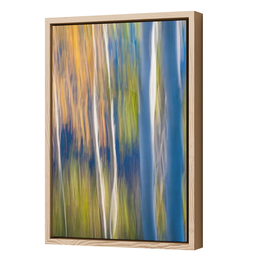 Thumbnail for Canvas - Wood Grain Floating Frame