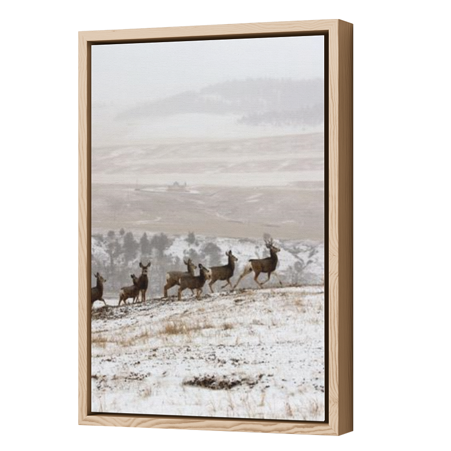 Thumbnail for Canvas - Wood Grain Floating Frame