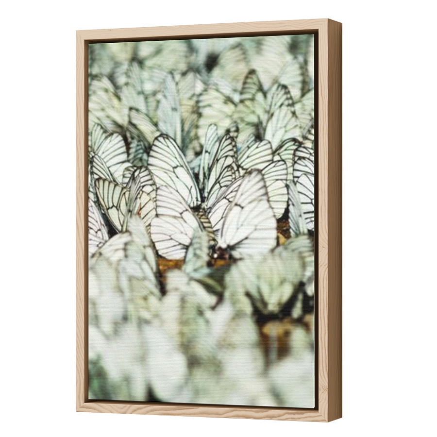 Thumbnail for Canvas - Wood Grain Floating Frame