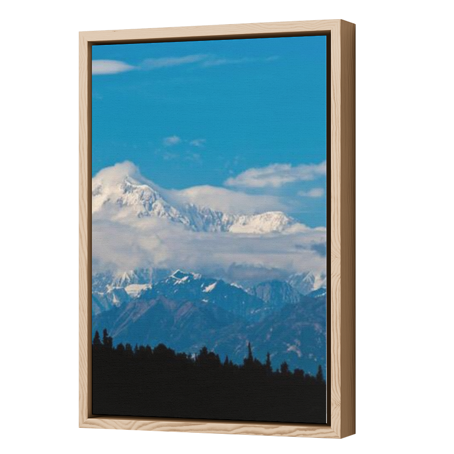 Thumbnail for Canvas - Wood Grain Floating Frame