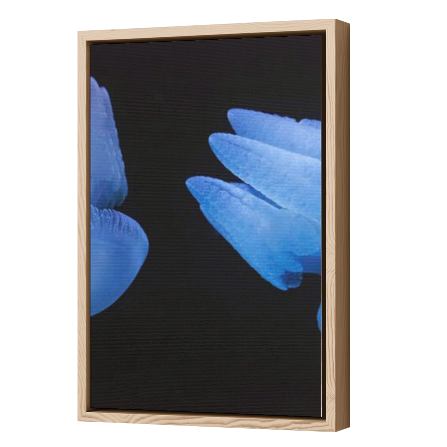 Thumbnail for Canvas - Wood Grain Floating Frame