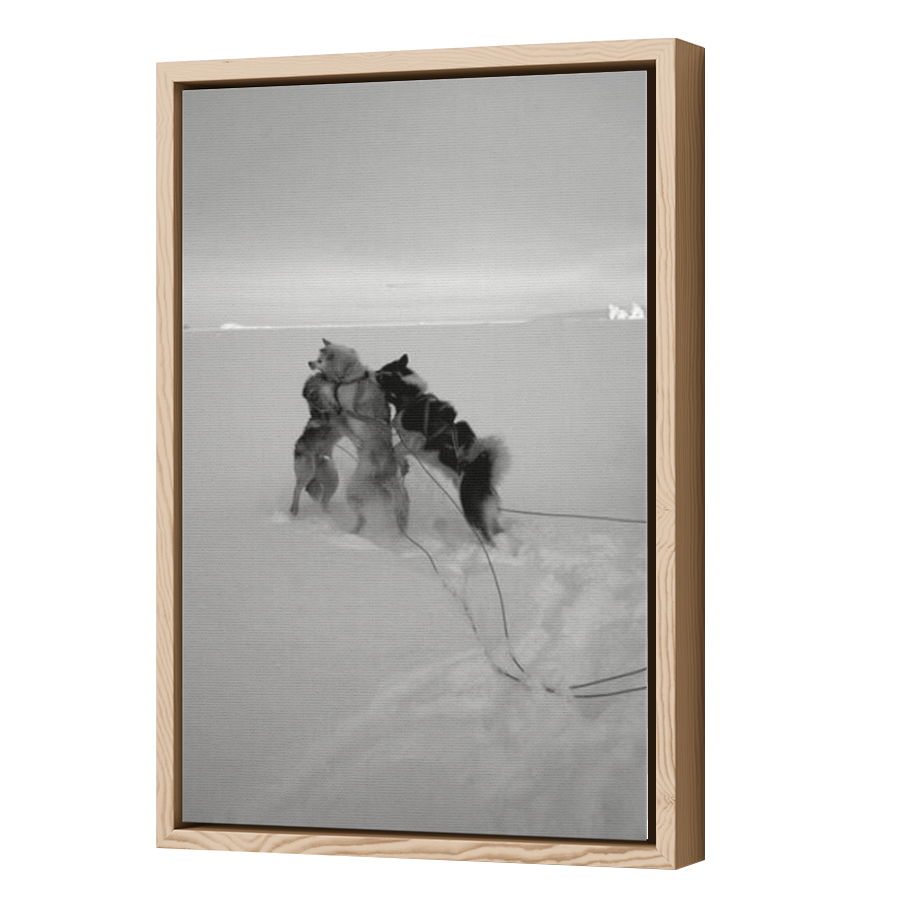 Thumbnail for Canvas - Wood Grain Floating Frame