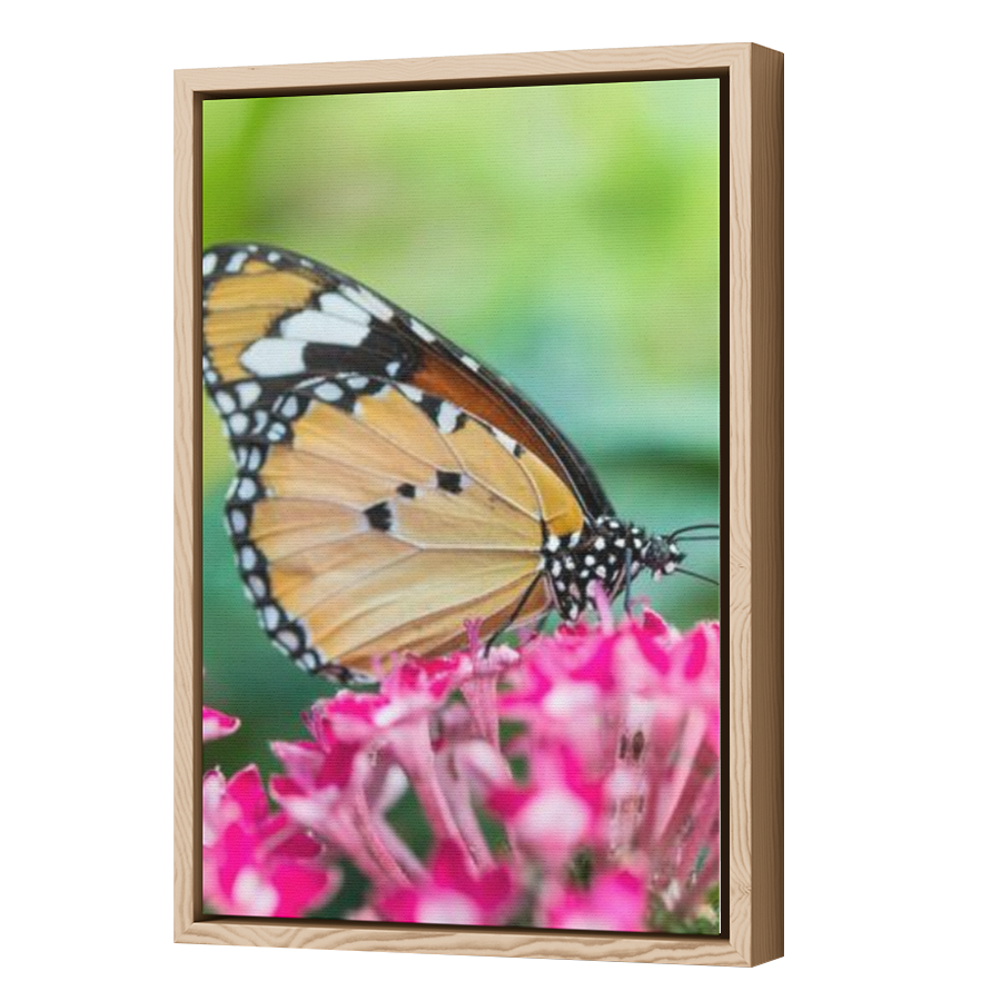 Thumbnail for Canvas - Wood Grain Floating Frame