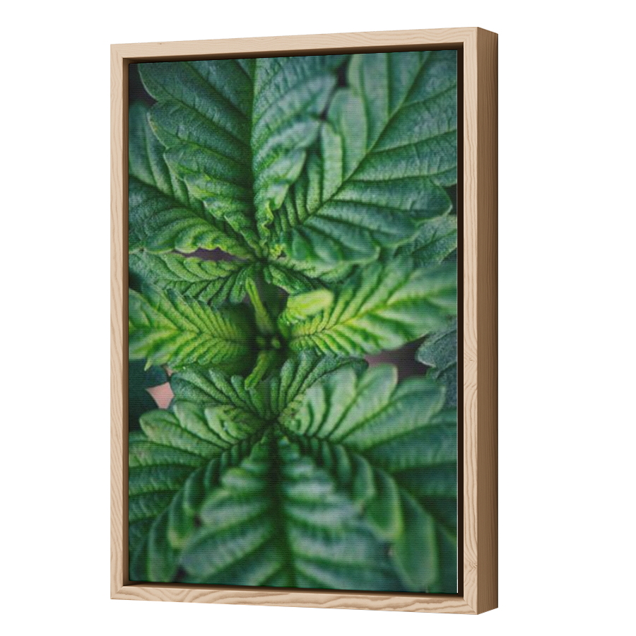 Thumbnail for Canvas - Wood Grain Floating Frame