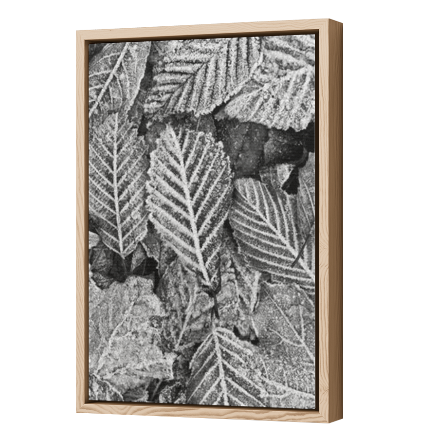 Thumbnail for Canvas - Wood Grain Floating Frame