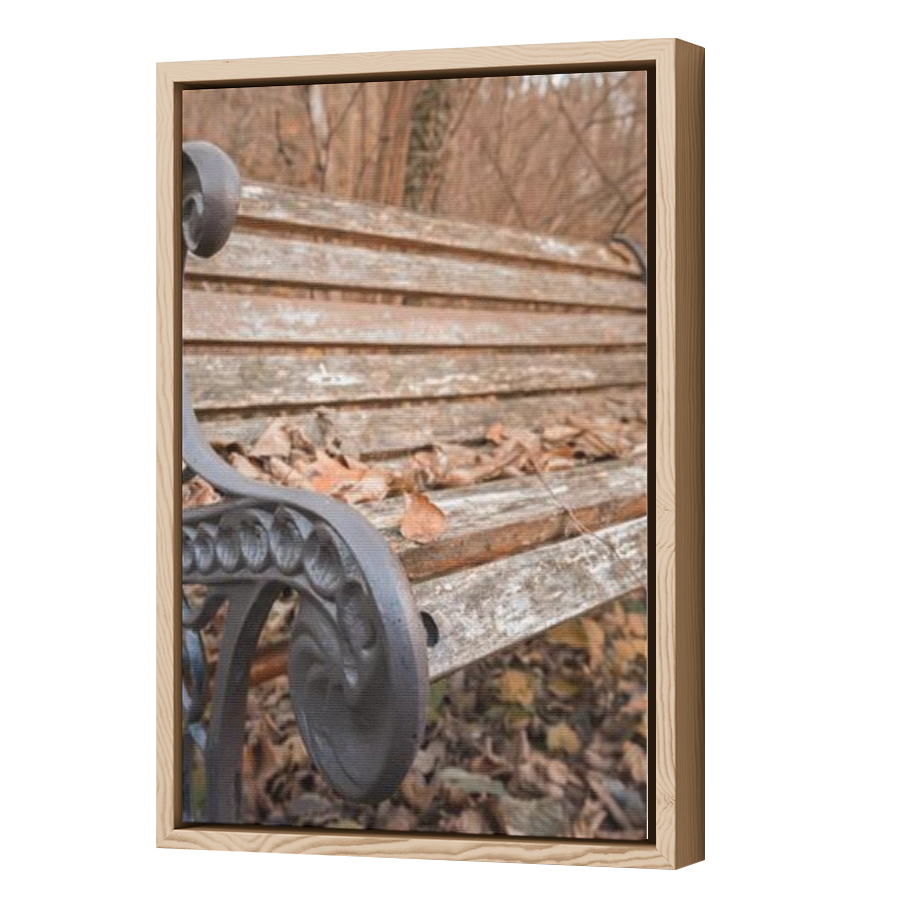Thumbnail for Canvas - Wood Grain Floating Frame