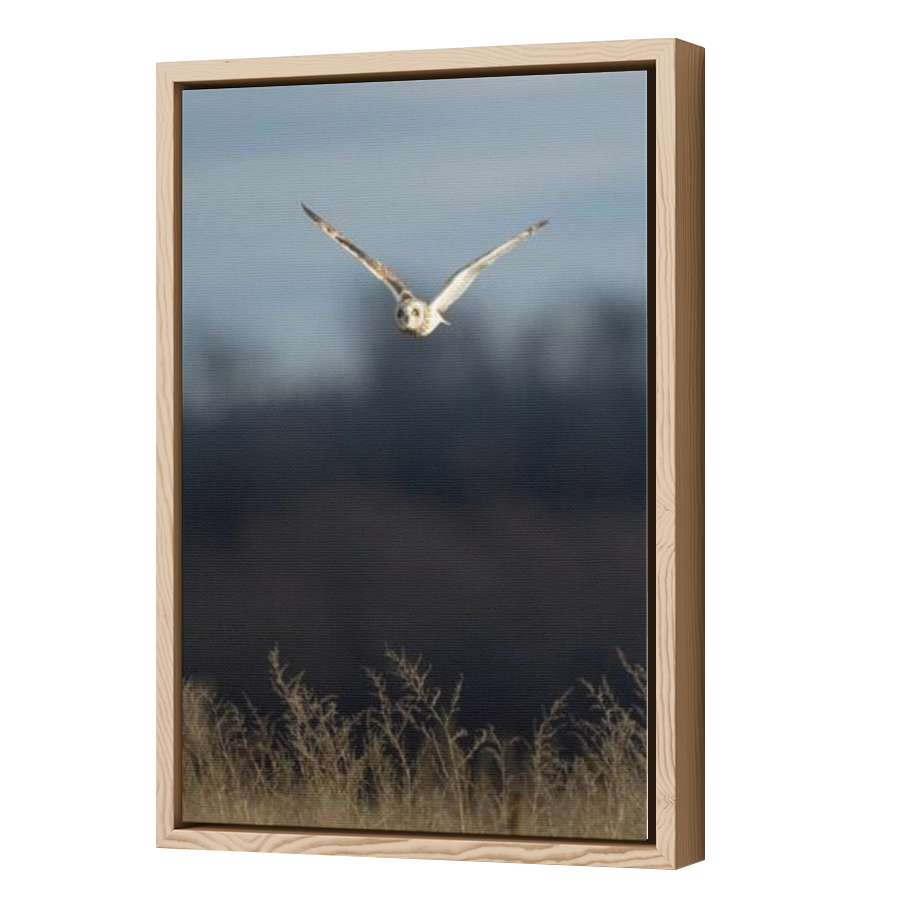 Thumbnail for Canvas - Wood Grain Floating Frame