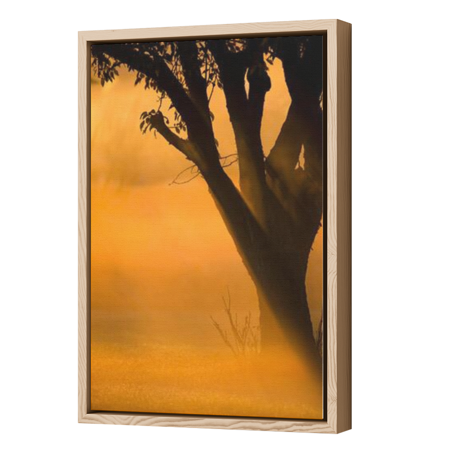 Thumbnail for Canvas - Wood Grain Floating Frame