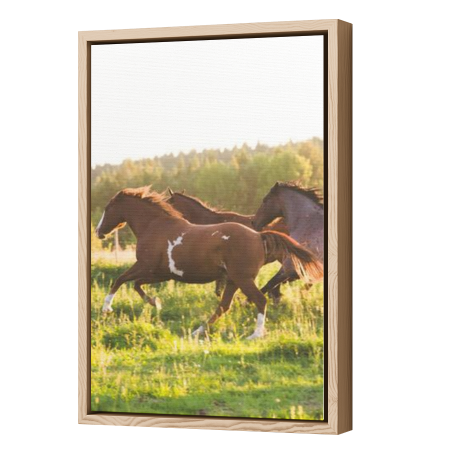 Thumbnail for Canvas - Wood Grain Floating Frame