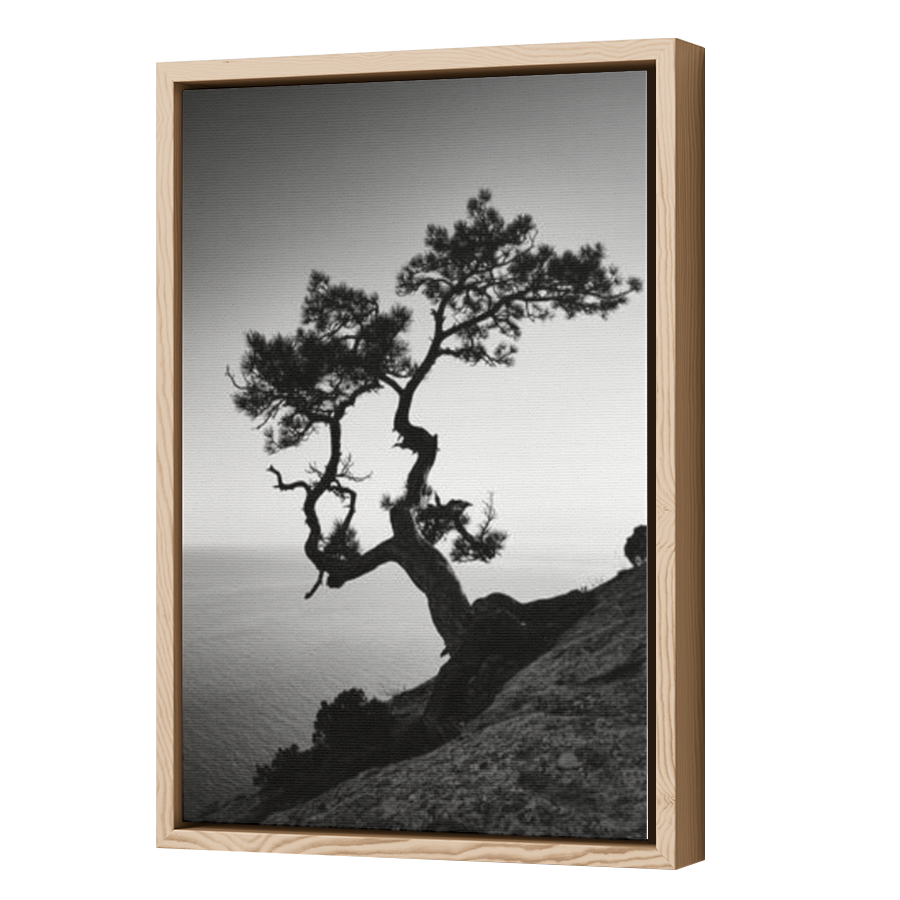 Thumbnail for Canvas - Wood Grain Floating Frame