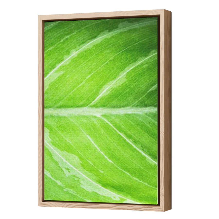 Thumbnail for Canvas - Wood Grain Floating Frame