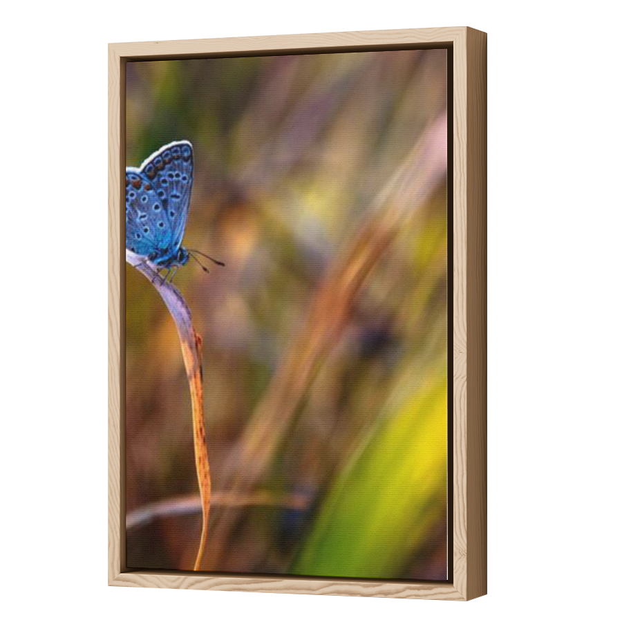 Thumbnail for Canvas - Wood Grain Floating Frame