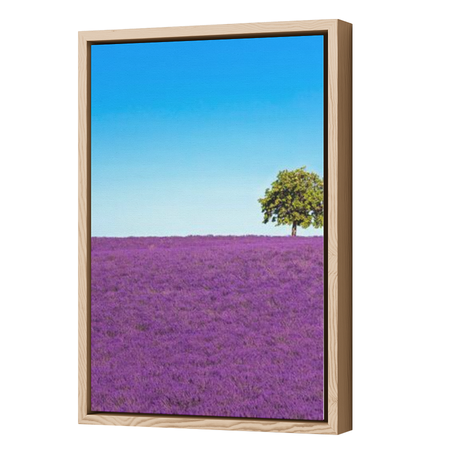 Thumbnail for Canvas - Wood Grain Floating Frame