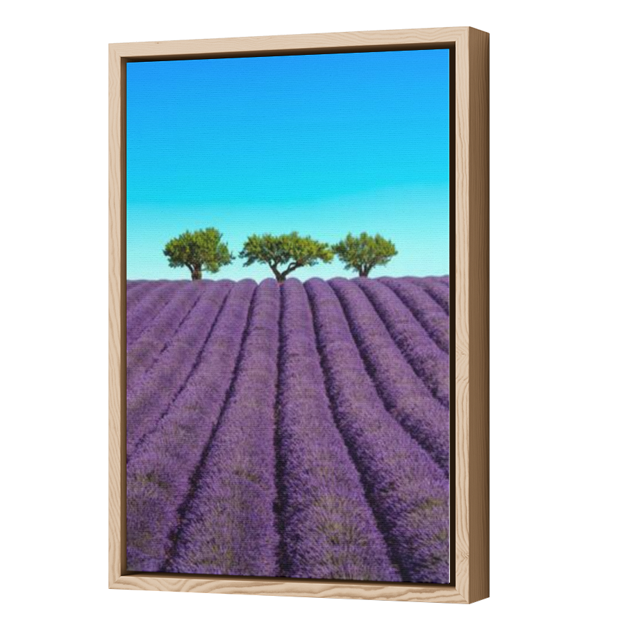 Thumbnail for Canvas - Wood Grain Floating Frame