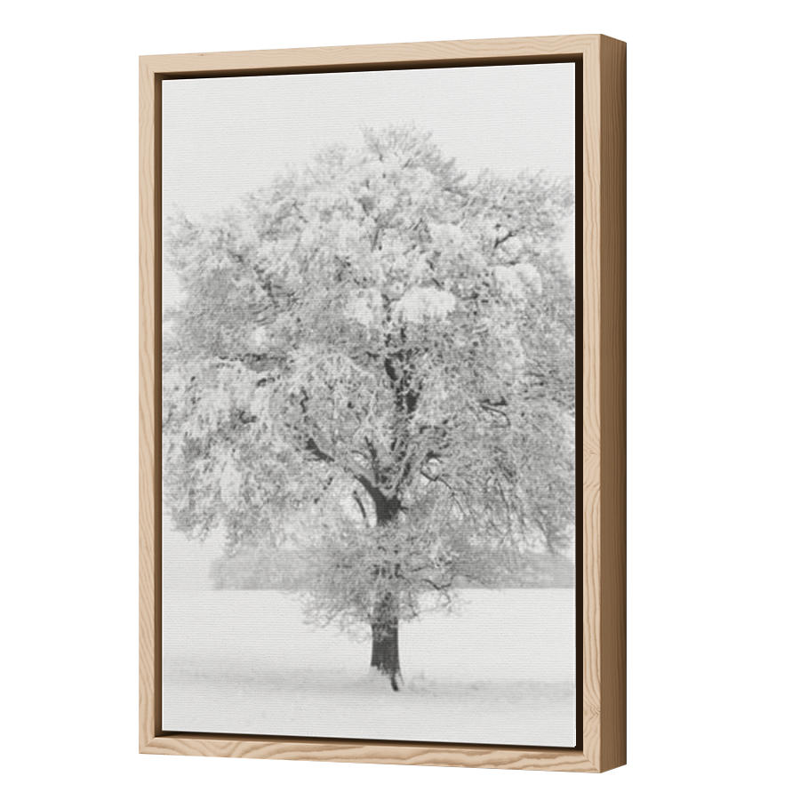 Thumbnail for Canvas - Wood Grain Floating Frame
