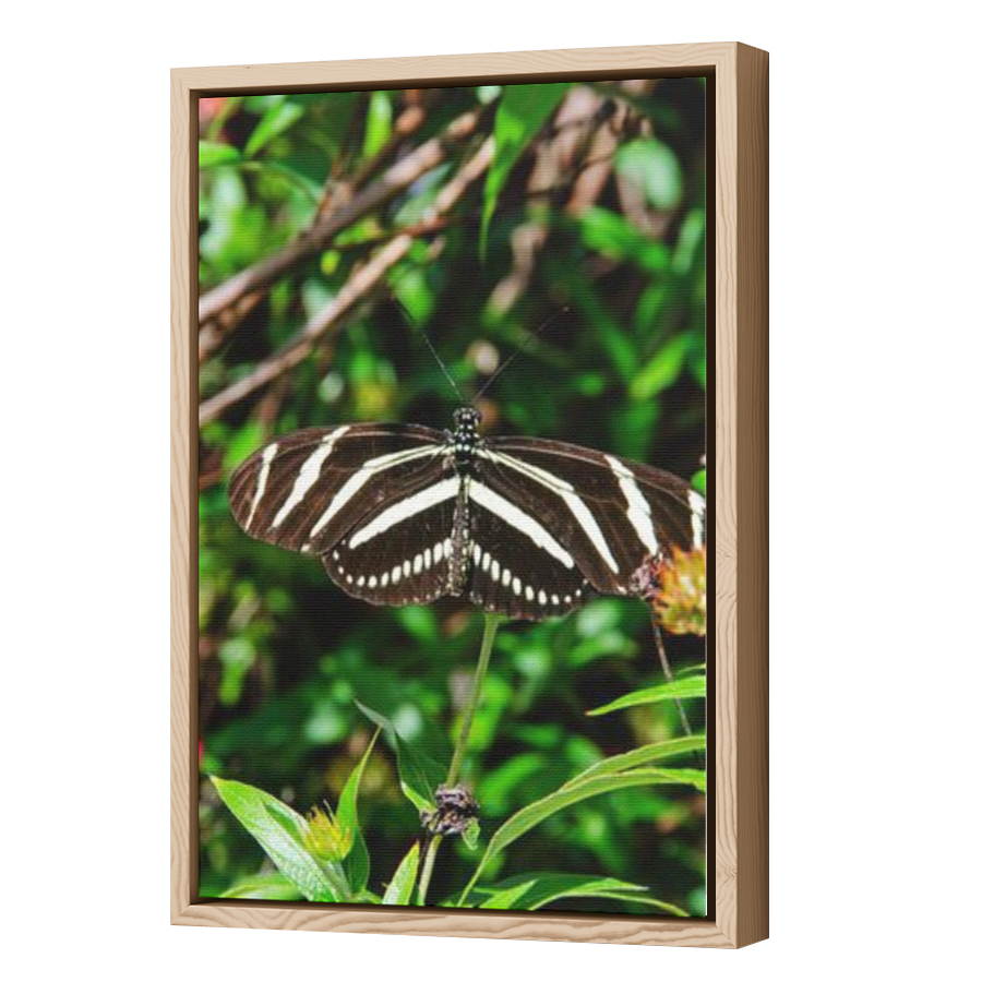 Thumbnail for Canvas - Wood Grain Floating Frame