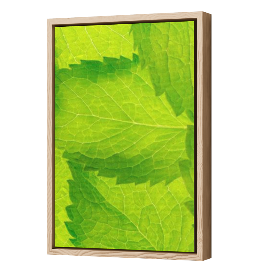 Thumbnail for Canvas - Wood Grain Floating Frame