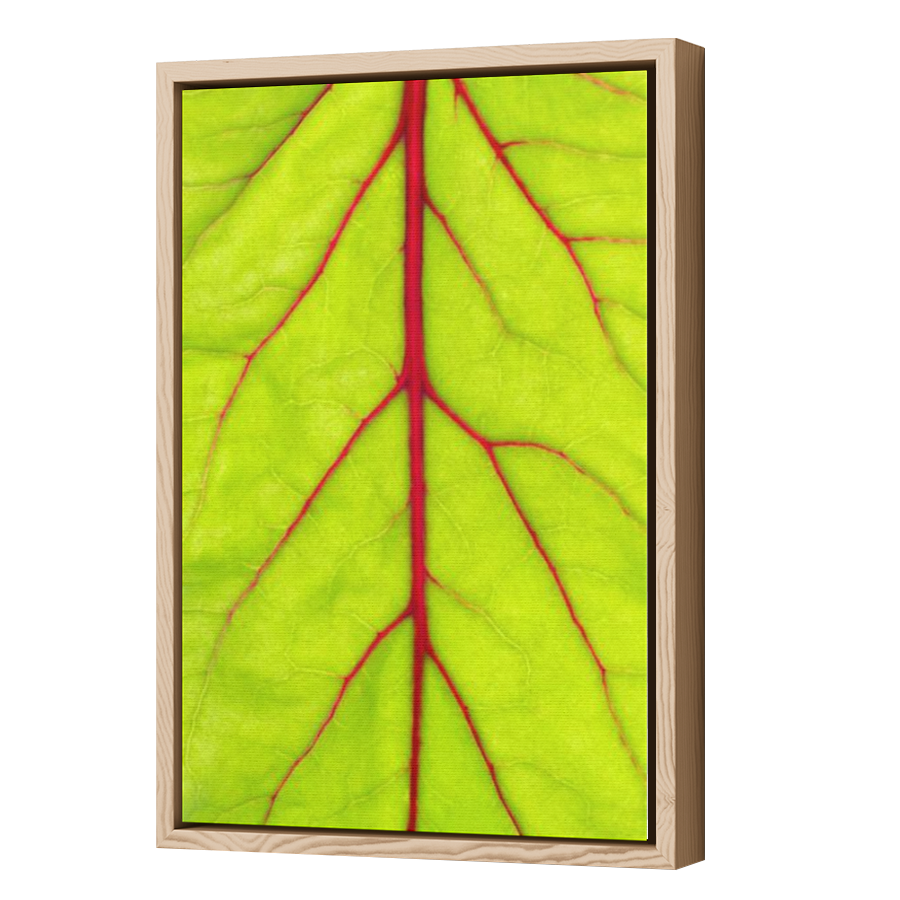 Thumbnail for Canvas - Wood Grain Floating Frame