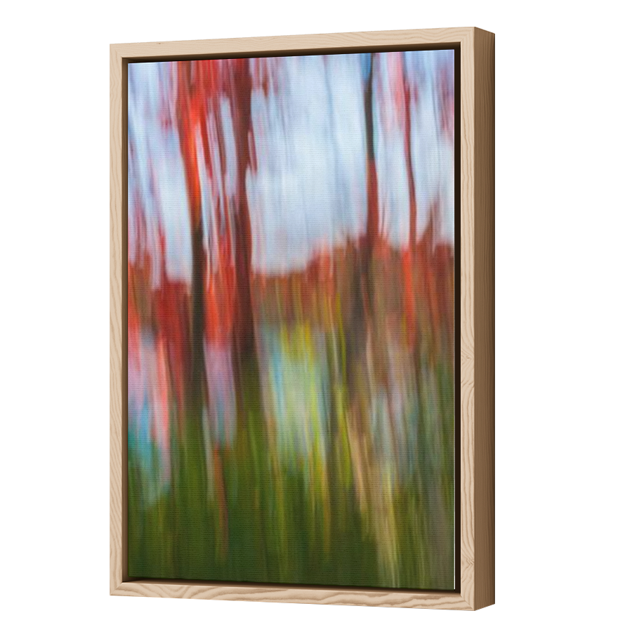 Thumbnail for Canvas - Wood Grain Floating Frame