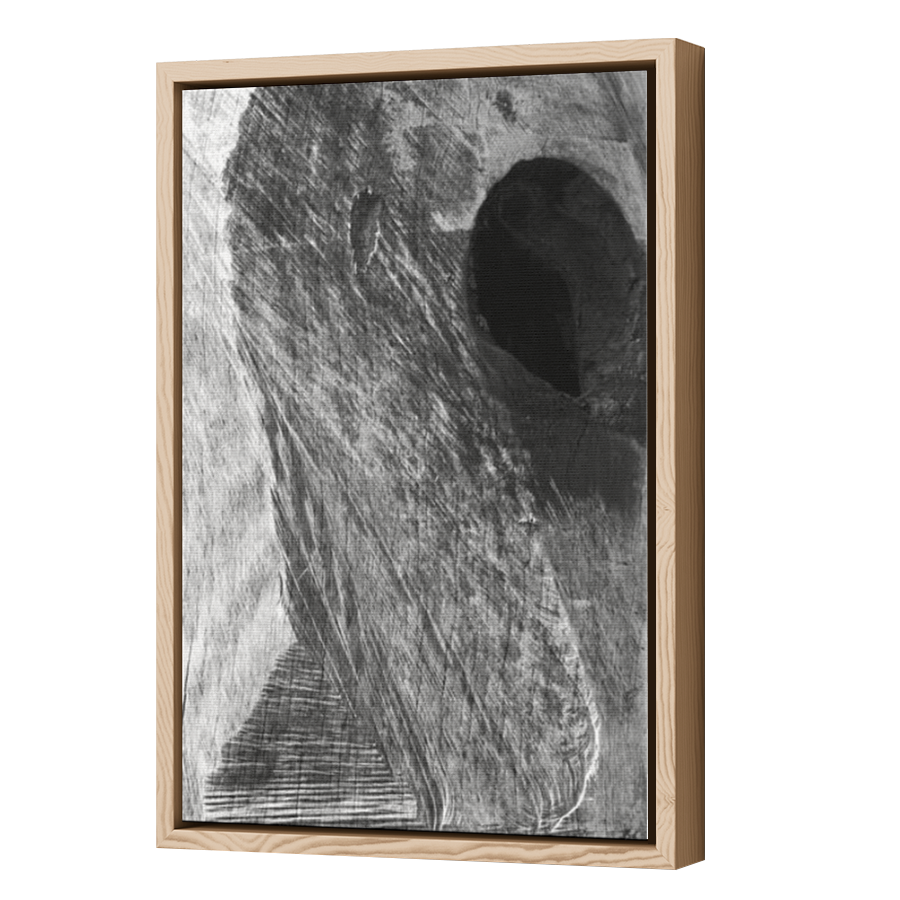 Thumbnail for Canvas - Wood Grain Floating Frame