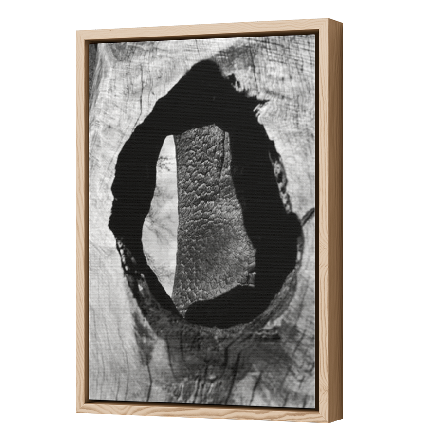Thumbnail for Canvas - Wood Grain Floating Frame