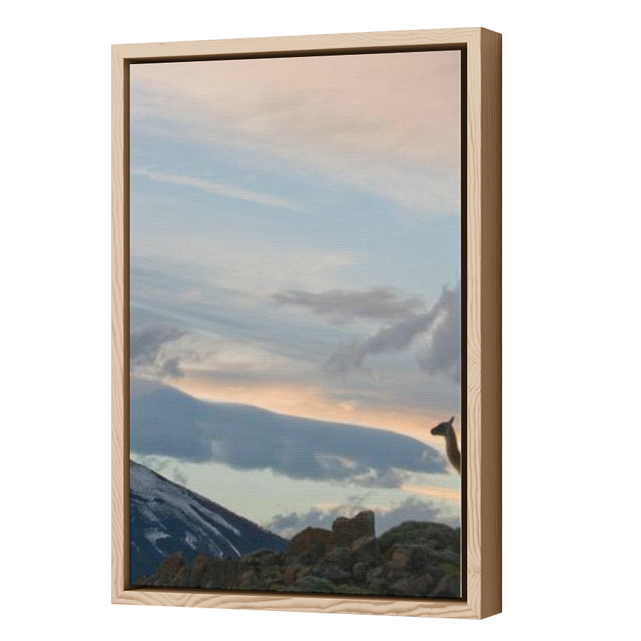 Thumbnail for Canvas - Wood Grain Floating Frame