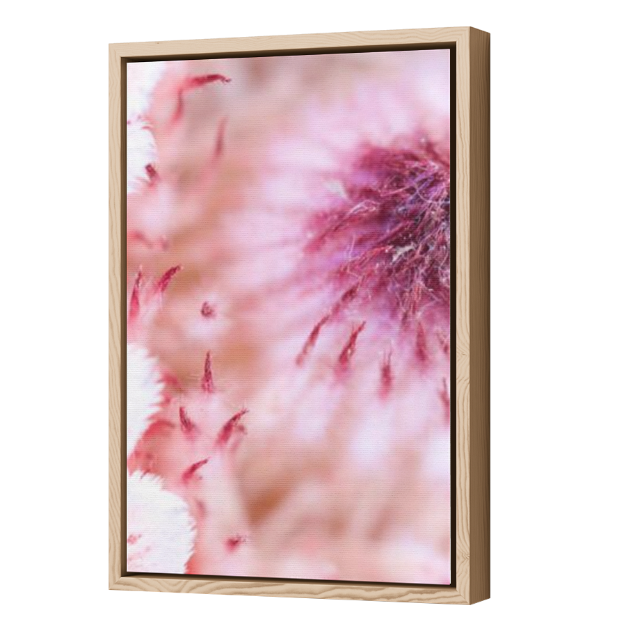 Thumbnail for Canvas - Wood Grain Floating Frame