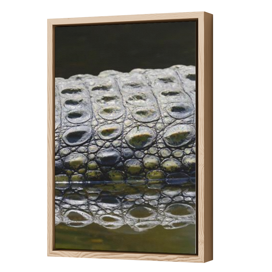 Thumbnail for Canvas - Wood Grain Floating Frame