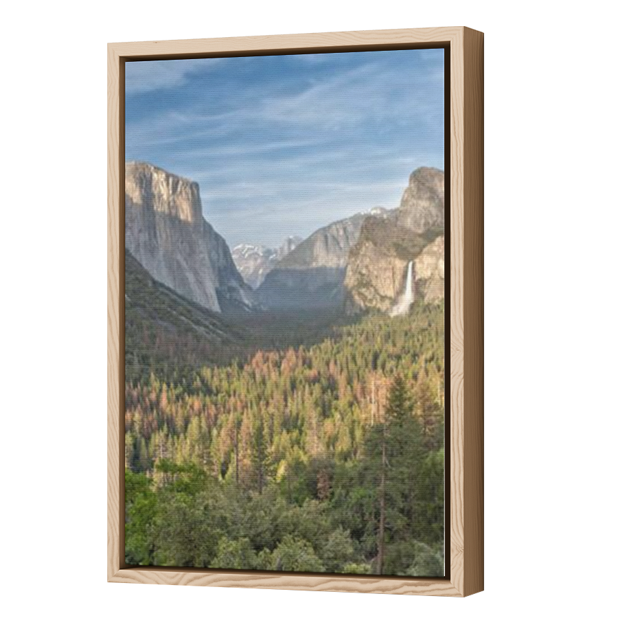 Thumbnail for Canvas - Wood Grain Floating Frame