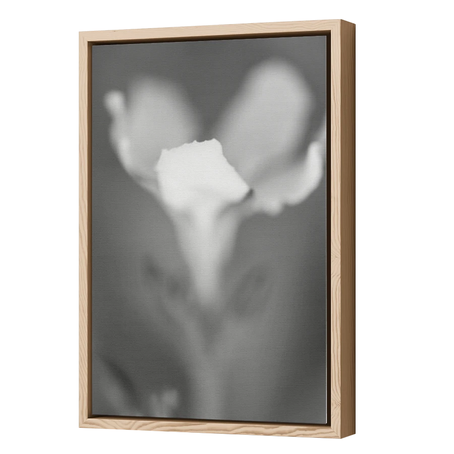 Thumbnail for Canvas - Wood Grain Floating Frame