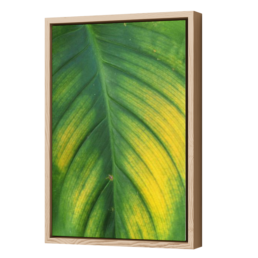 Thumbnail for Canvas - Wood Grain Floating Frame