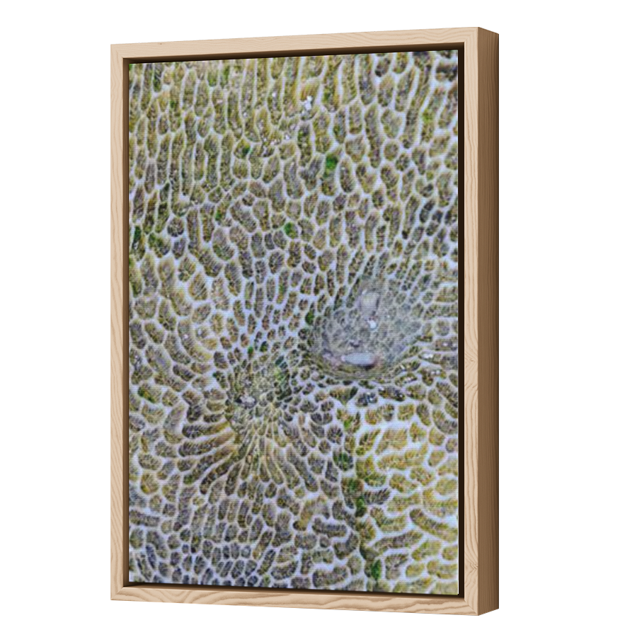 Thumbnail for Canvas - Wood Grain Floating Frame