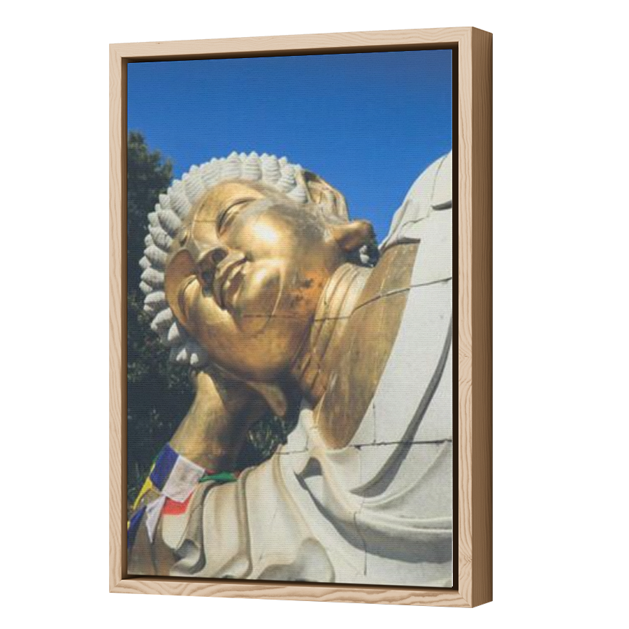 Thumbnail for Canvas - Wood Grain Floating Frame