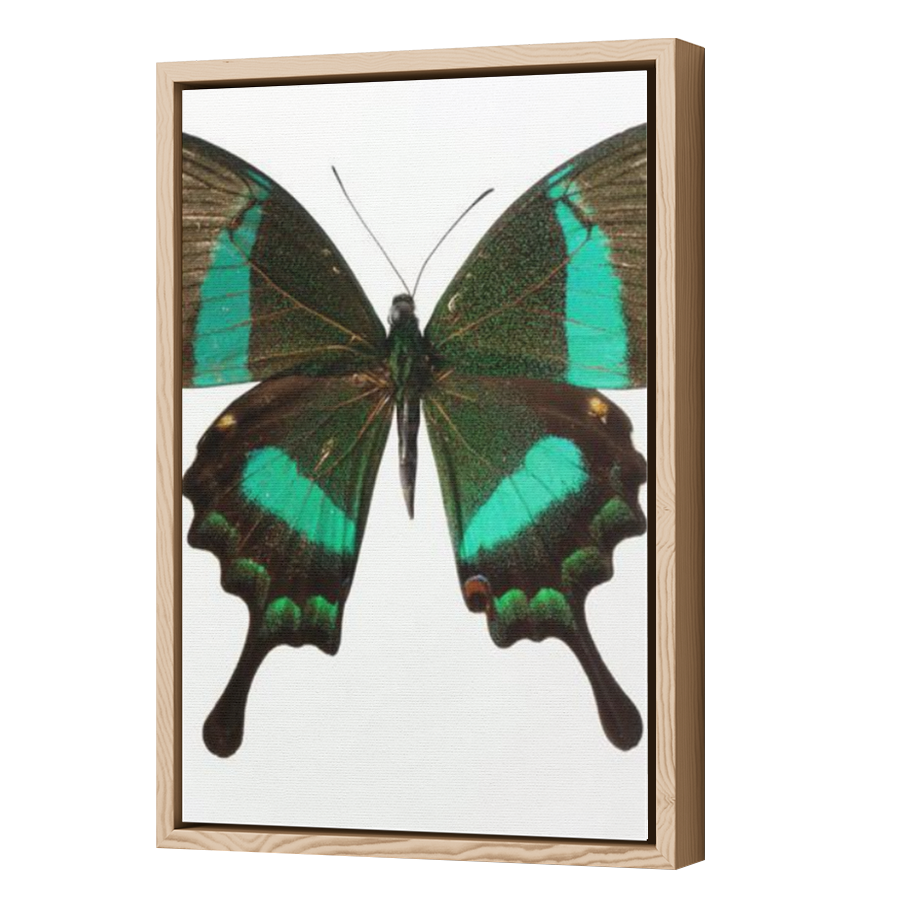Thumbnail for Canvas - Wood Grain Floating Frame