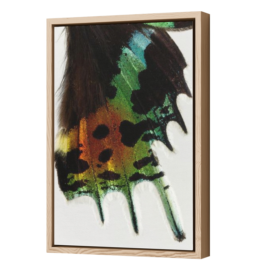 Thumbnail for Canvas - Wood Grain Floating Frame