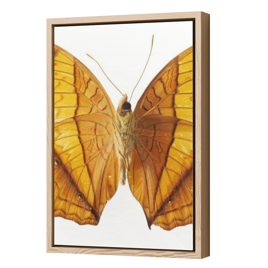 Thumbnail for Canvas - Wood Grain Floating Frame