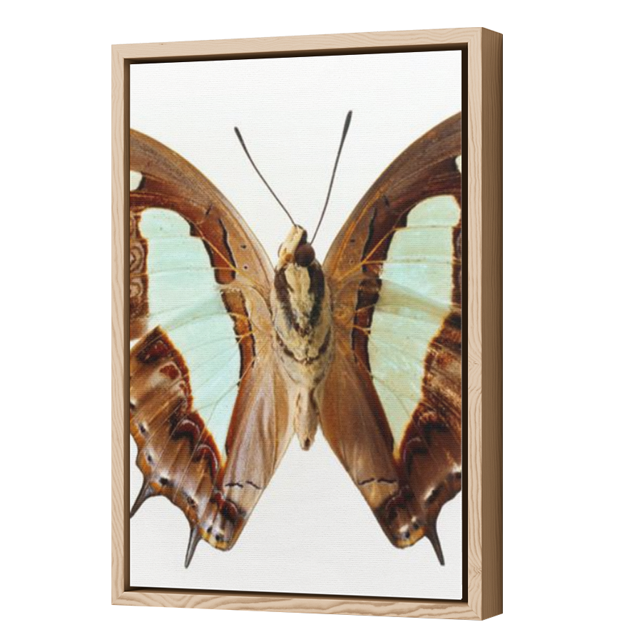 Thumbnail for Canvas - Wood Grain Floating Frame