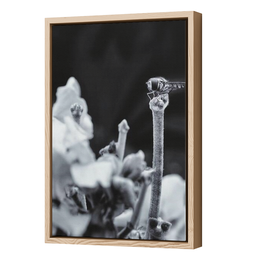 Thumbnail for Canvas - Wood Grain Floating Frame