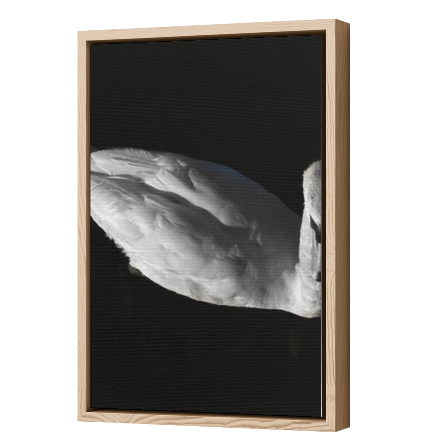 Thumbnail for Canvas - Wood Grain Floating Frame