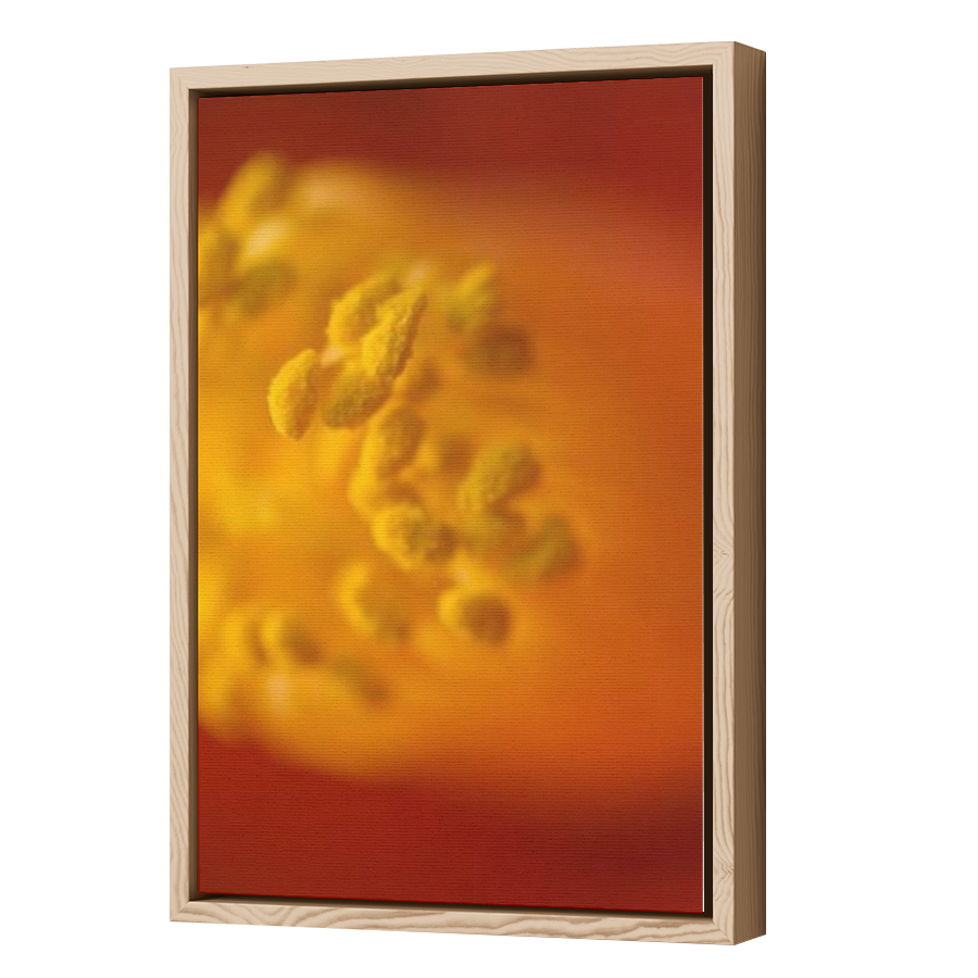 Thumbnail for Canvas - Wood Grain Floating Frame