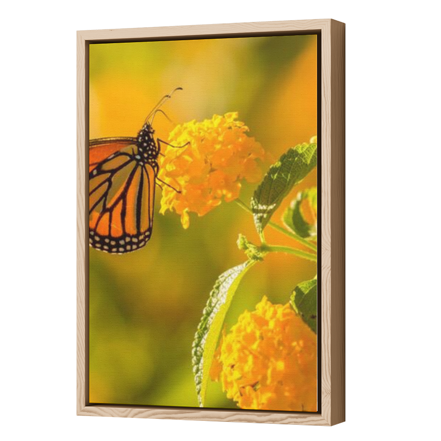 Thumbnail for Canvas - Wood Grain Floating Frame