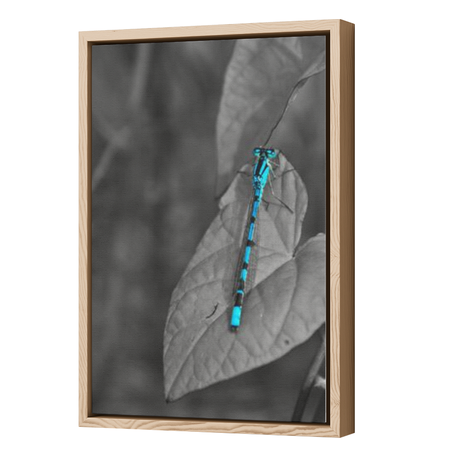 Thumbnail for Canvas - Wood Grain Floating Frame