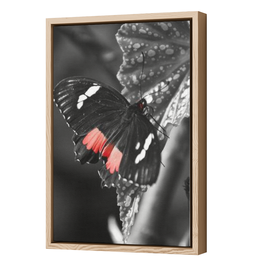 Thumbnail for Canvas - Wood Grain Floating Frame