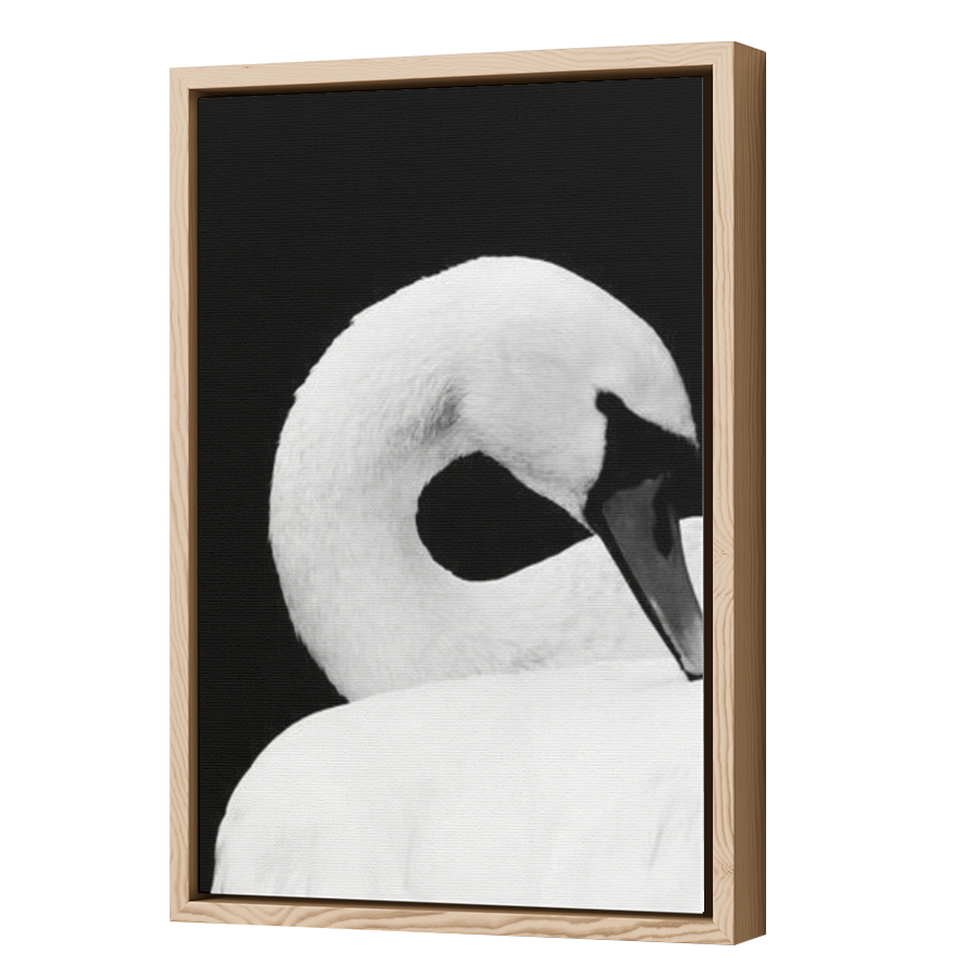 Thumbnail for Canvas - Wood Grain Floating Frame