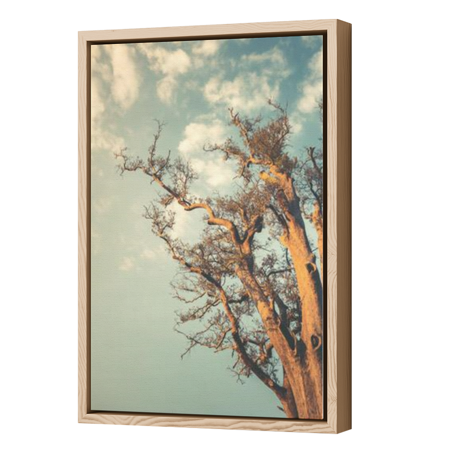 Thumbnail for Canvas - Wood Grain Floating Frame